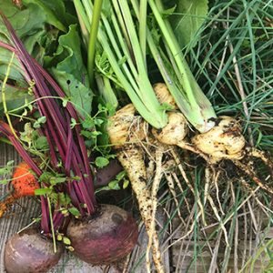 Vale-House-Kitchen-Beetroot-and-Parsnips