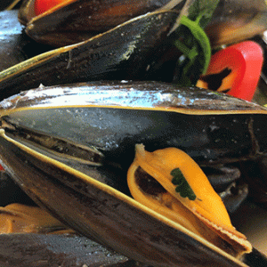 Vale-House-Kitchen-Fly-Fishing-Course-Mussels